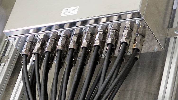 酷游KU游官网
_vs_glands - A2 text image.jpg