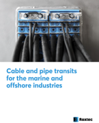 酷游KU游官网
 适用于海事领域的电缆和管道穿隔密封系统